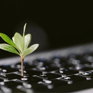 Jak spravovat majetek udržitelně s pomocí IT Asset Managementu (ITAM)?