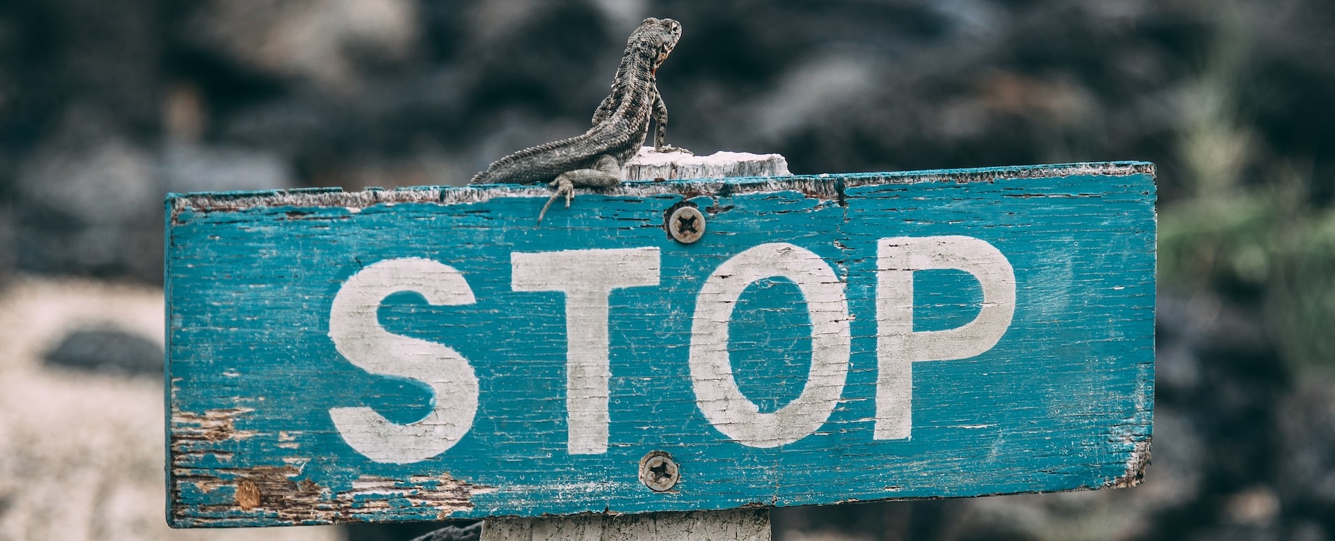 STOP